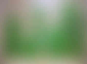 الشيخ احمد لجميع انواع السلاكات ومستلزمتها