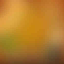 مطعم اسماك حصان البحر