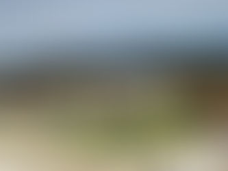 سوق الجملة حدائق اكتوبر