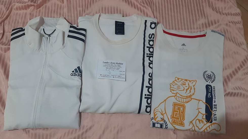 الأشجار دراي كلين حدائق أكتوبر