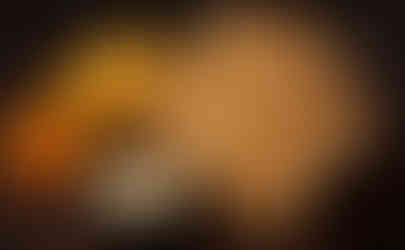 مطعم الكوخ السوري حدائق اكتوبر