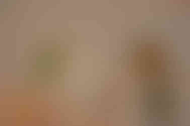 Parrot Locanda October Gardens