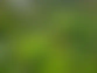 Royal Botanic Gardens Victoria - Things to Know