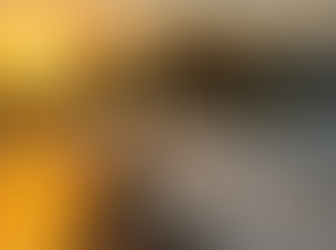 Private Tour Guide in Egypt Sharm El Shikeh