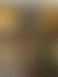 الحي الايطالي حدائق اكتوبر