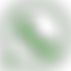 Whatsapp Cinnamon