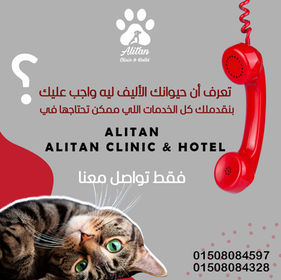 Alitan Pet Shop Social Media