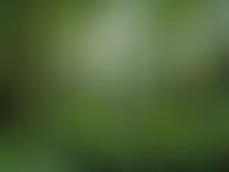 Top Destinations to Uncover in Australia