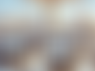 Top Car Rental Experience in Egypt