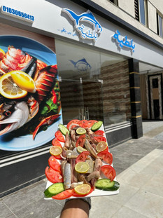 Boltya - بلطية حدائق اكتوبر