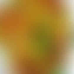 مطعم كابوريا حدائق اكتوبر