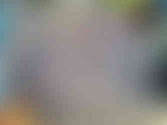 الشيخ احمد لجميع انواع السلاكات ومستلزمتها