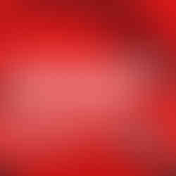 OneOrder | Horeca Partner Solutions