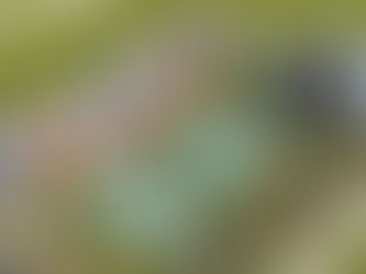 كمبوندات في حدائق أكتوبر