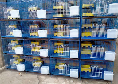 الشيخ احمد لجميع انواع السلاكات ومستلزمتها