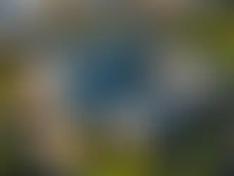 Why is the University of Melbourne Student Union an Integral Part of Campus Life?