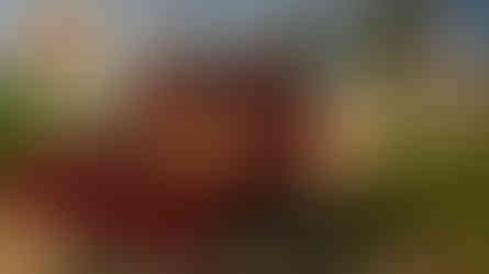 فلاحي علي ابوه