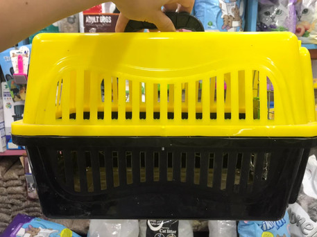 Cat Box 