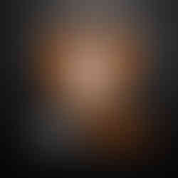 AUTO WRAP PAINT PROTECTION FILM SINCE 2014