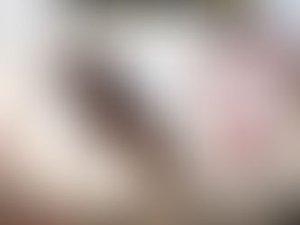 أكاديمية الفارس لتعليم الفروسية