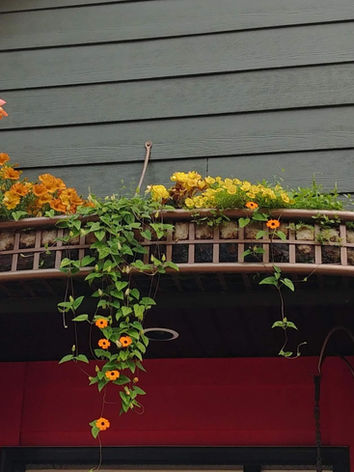 over the door planter