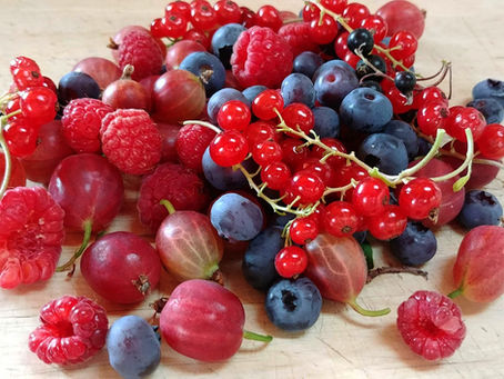 Yard Harvest