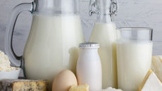 Do You Know Your Vitamins?: Riboflavin