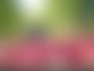 "An Apple a Day Keeps the Doctor Away"