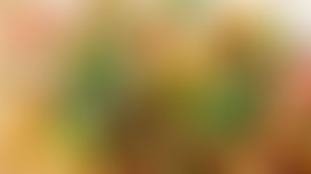 Homemade Taco Seasoning