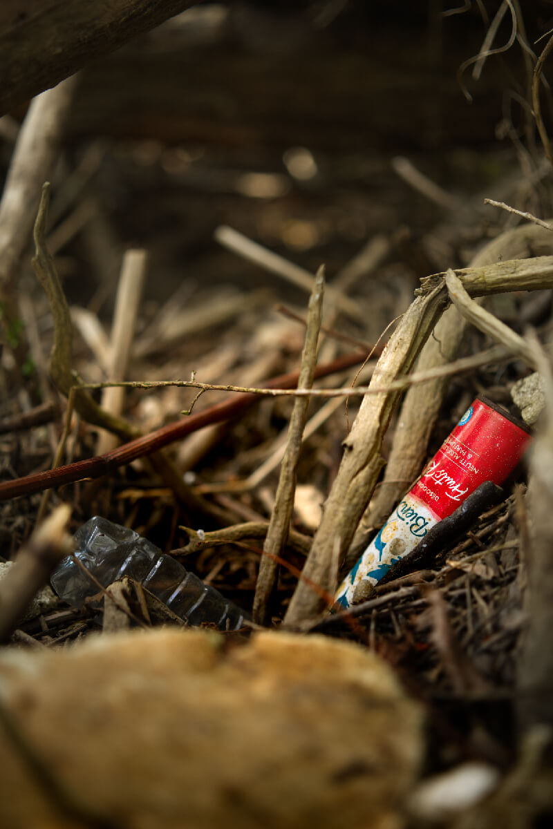 Des déchets dans un tas de bois.