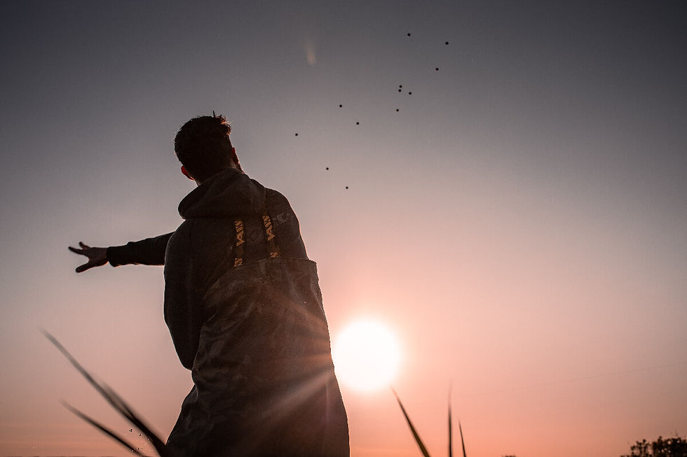 Un homme en contre jour qui jette des appâts dans l'eau.