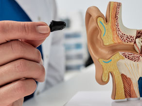 the hearing system