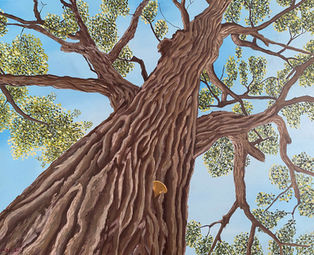 Cottonwood tree oil painting