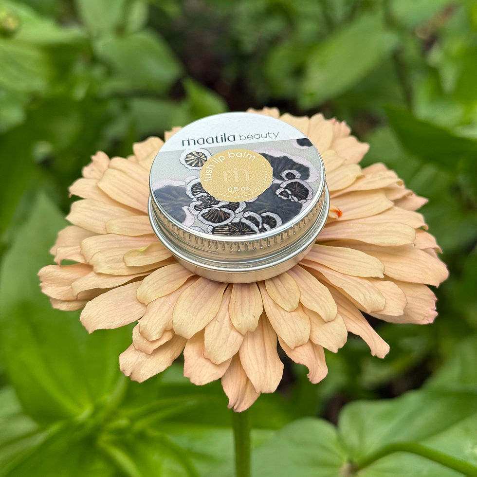 Lush Lip Balm tin resting on cream-colored flower