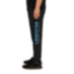 Lonestar Joggers