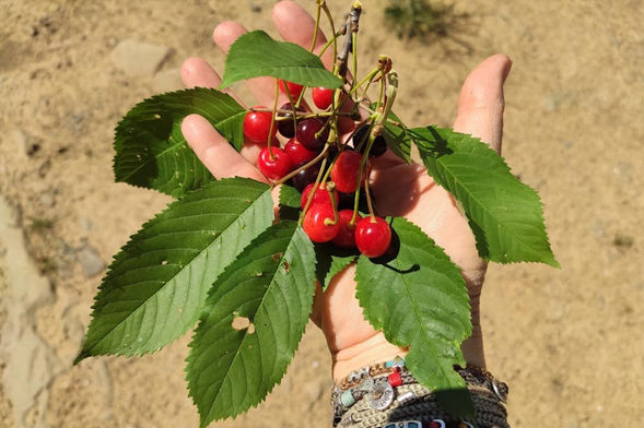 טיול נשים ליוון - טיול יסודות