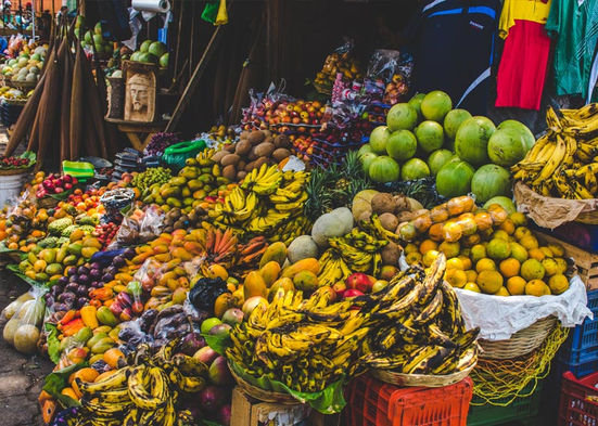 טיול נשים לגואטמלה עם 'בית החויות של סורנגה'