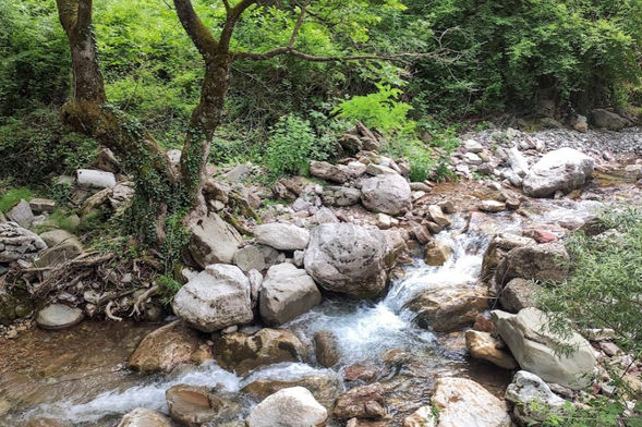 טיול נשים ליוון - טיול יסודות