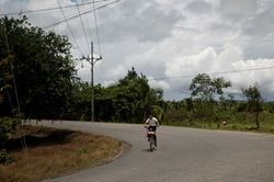 Palma Sur, Costa Rica 2013.
