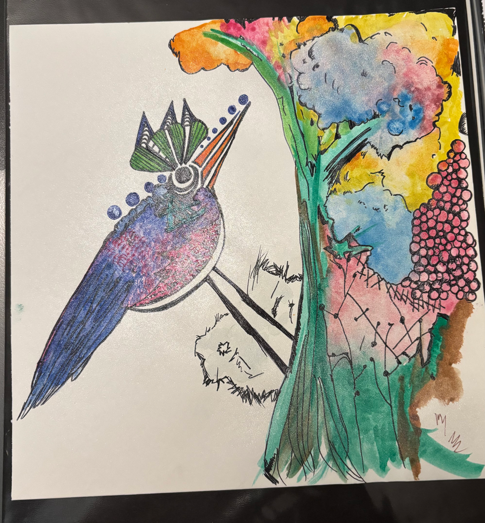 Fancy Bird