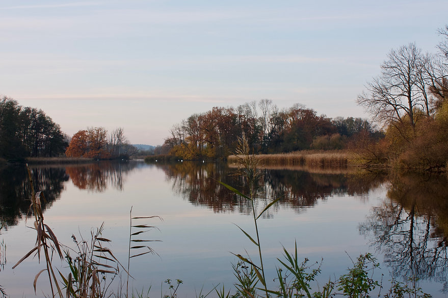 Hintenteiche Brandenburg Uckermark