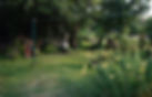 _DSC3423.jpeg
