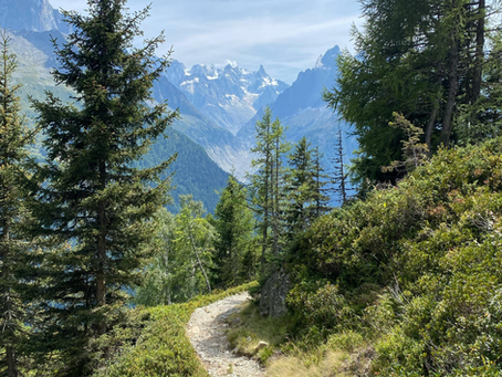 Walking in Blind Faith: Trusting God When You Can’t See the Whole Path