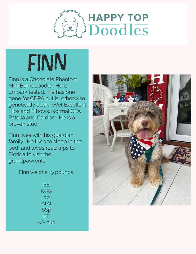 Finn