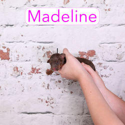 Madeline0