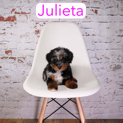 Julieta8