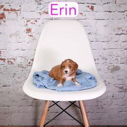 Erin4