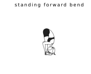 STANDING FORWARD BEND