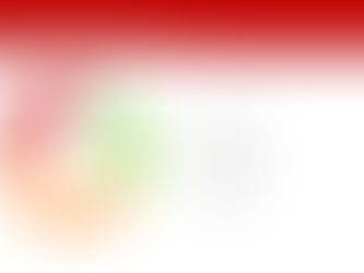 Pragmaticus-Umfrage: Roboter