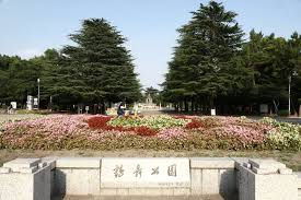 昭和区区民まつり2019@鶴舞公園